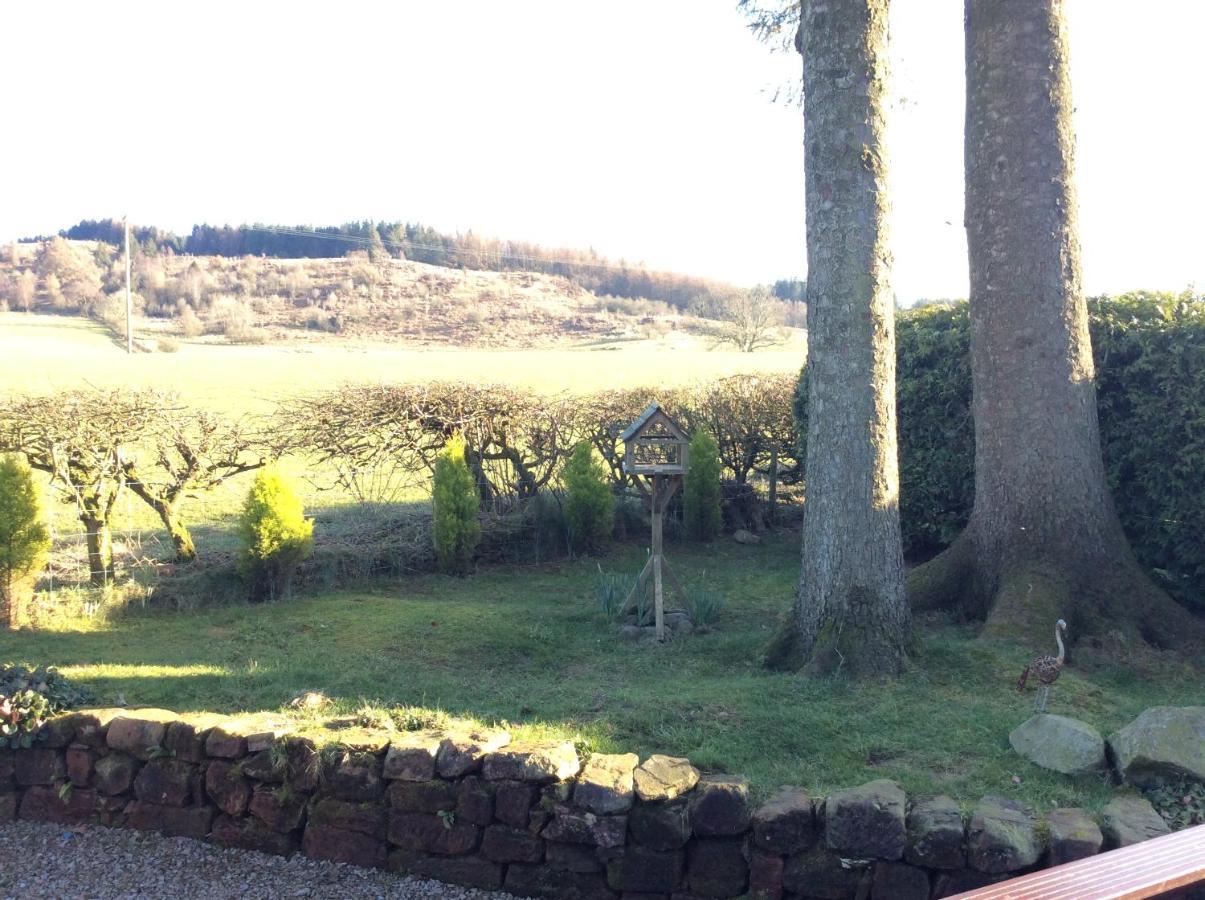 Heron Lodge, Edge Of Mabie Forest Dumfries Buitenkant foto